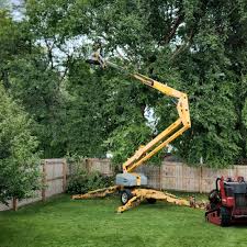 Best Organic Lawn Care Solutions  in Catlin, IL