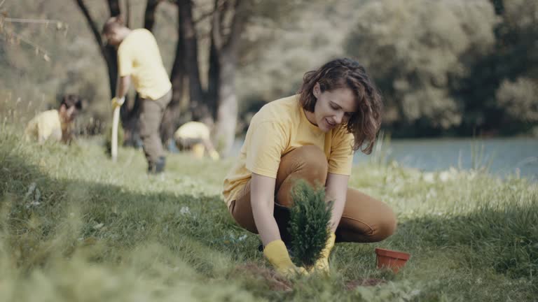 Best Grass Overseeding  in Catlin, IL